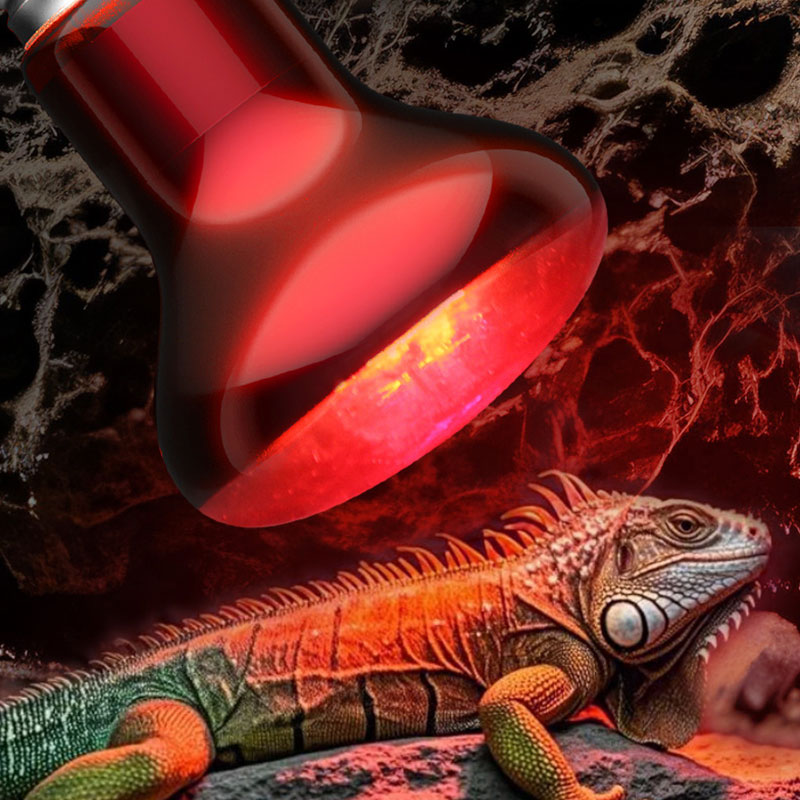 Lámpara de Calor para Reptiles - Gecko Lighting & Decor reseña y precio
