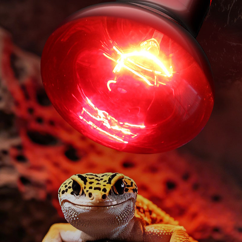 Lámpara de Calor para Reptiles - Gecko Lighting & Decor reseña y precio