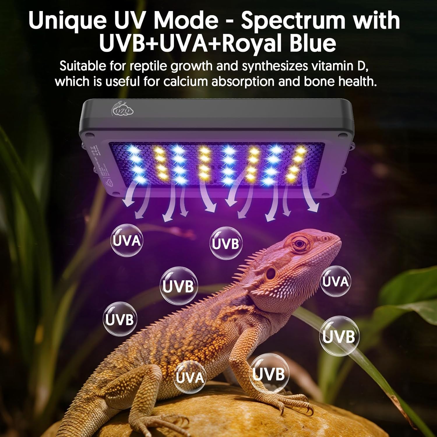 Lámpara LED para reptiles UVA  - Gecko Lighting & Decor reseña y precio