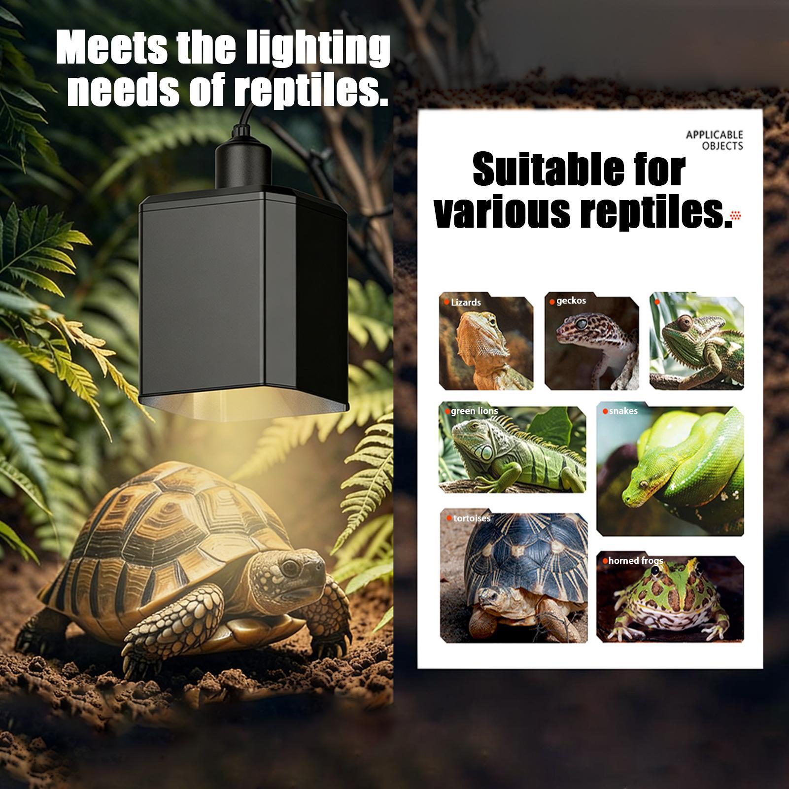 Cubierta de lámpara de calor p - Gecko Lighting & Decor reseña y precio